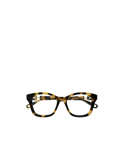Chloé Eyewear Square Frame Glasses In Brown
