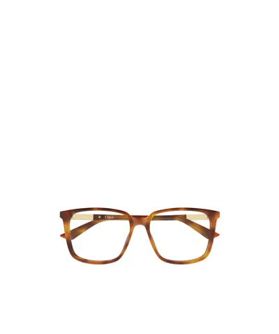 Chloé Eyewear Square Frame Glasses In Brown