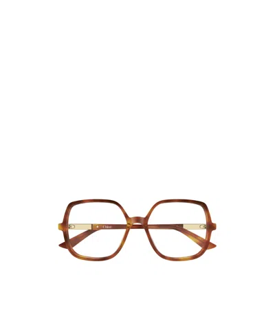 Chloé Eyewear Square Frame Glasses In Burgundy