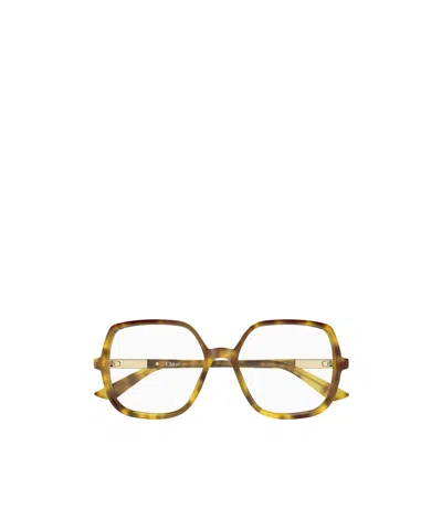 Chloé Eyewear Square Frame Glasses In Brown