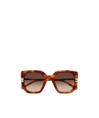 Chloé Eyewear Square-frame Sunglasses In Brown