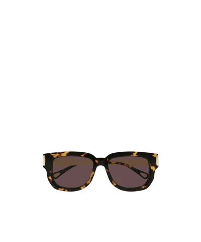 Chloé Eyewear Square Frame Sunglasses In Brown