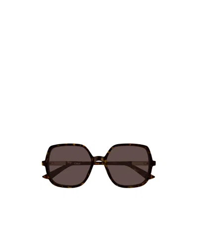 Chloé Eyewear Square Frame Sunglasses In Brown