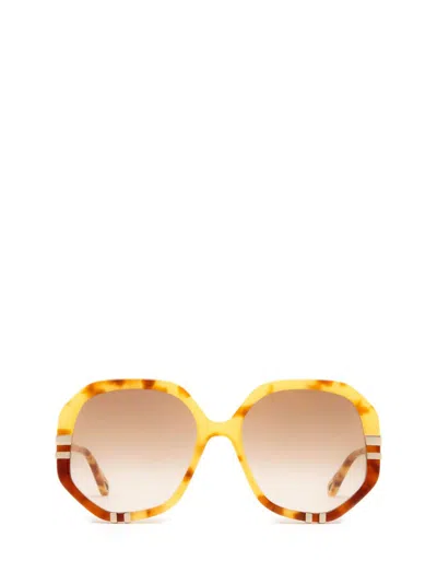 Chloé Havana/brown West Sunglasses In Multi