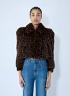 Chloé Leopard Print Faux Fur Cropped Jacket In Brown
