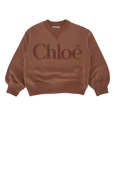 Chloé Kids' Felpa In Brown