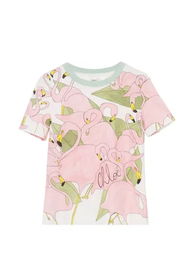 Chloé Flamingo Print T-shirt In Pink