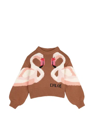 Chloé Kids' Flamingo-intarsia Logo-embroidered Sweater In Brown