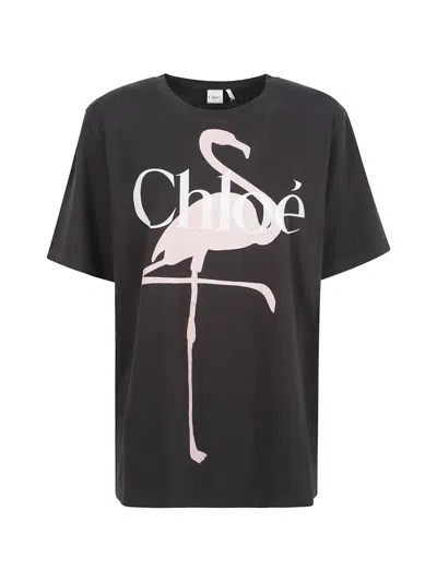 Chloé Flamingo-print Logo-print T-shirt In Black