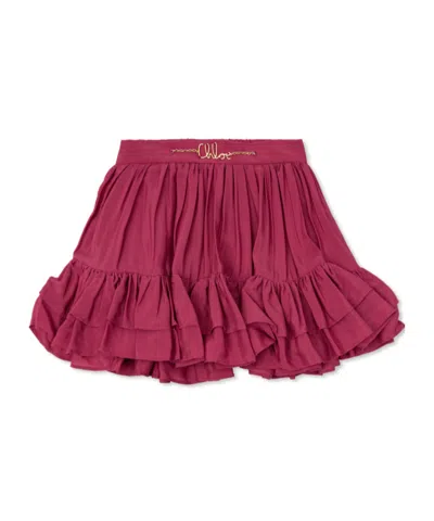 Chloé Flared Skirt In Multi