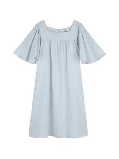 Chloé Kids' Flared-sleeve Embroidered Dress In Brown