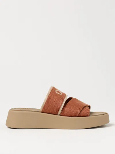 Chloé Flat Sandals  Woman Color Brown In Brown