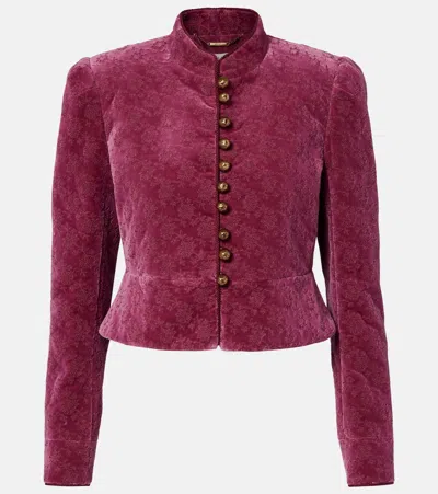 Chloé Floral Cropped Cotton Velvet Jacket In Purple