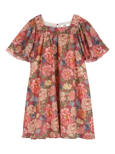 Chloé Kids' Floral-print Flutter-sleeve Dress In Pink