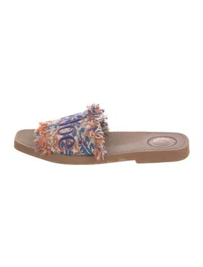 Pre-owned Chloé Floral Print Raw-edge Trim Slides In Neutral