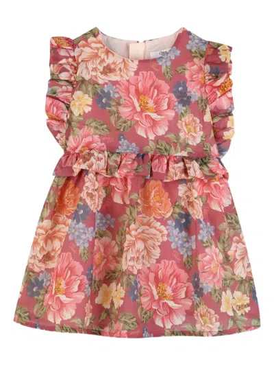 Chloé Babies' Floral-print Ruffled Dress In Pink