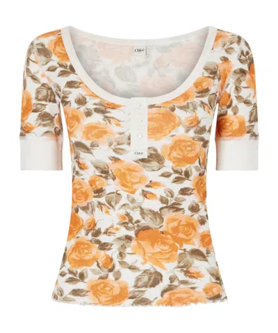 Chloé Floral-print Ribbed Stretch-cotton Jersey T-shirt In Multi