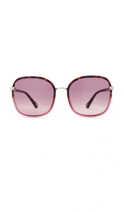 Chloé Franky Sunglasses In Havana & Red