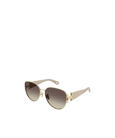 Chloé Full Frame Sunglasses