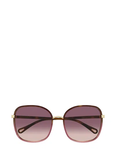 CHLOÉ CHLOÉ EYEWEAR SQUARE FRAME SUNGLASSES