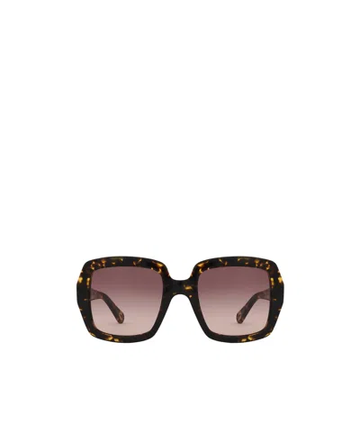 Chloé Full Frame Sunglasses In Black