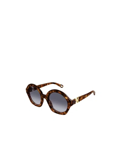 Chloé Full Frame Sunglasses In Brown