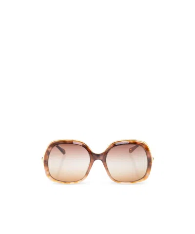 Chloé Full Frame Sunglasses In Brown