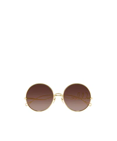 Chloé Full-frame Sunglasses In Brown