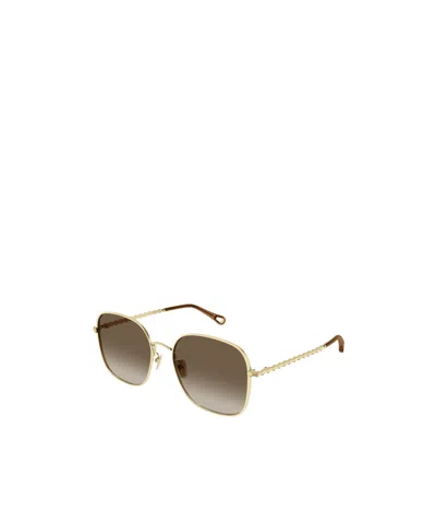 Chloé Full Frame Sunglasses In Green