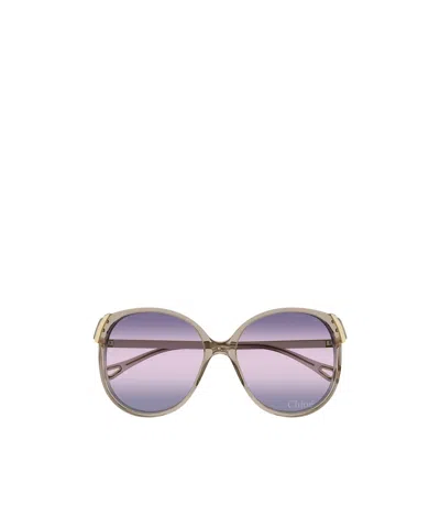 Chloé Chloe Women Pink Acetate And Metal Aly Sunglasses In Brown