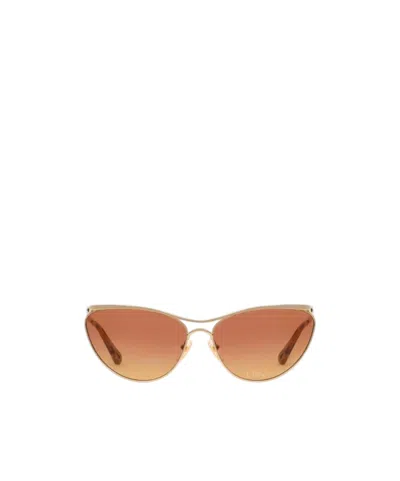 Chloé Full-rim Sunglasses In Brown