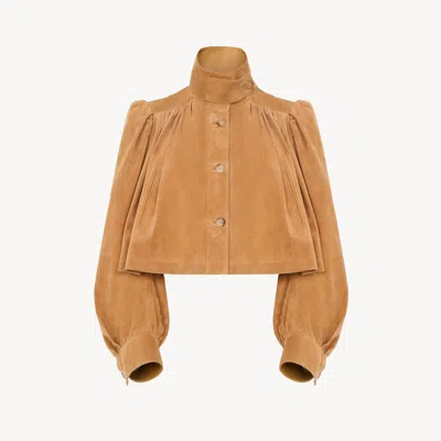 Chloé Gathered Boule Jacket In Suede Leather In Brown