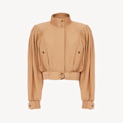 Chloé Ruched Short Cotton Poplin Jacket In Reef Shell In Multi