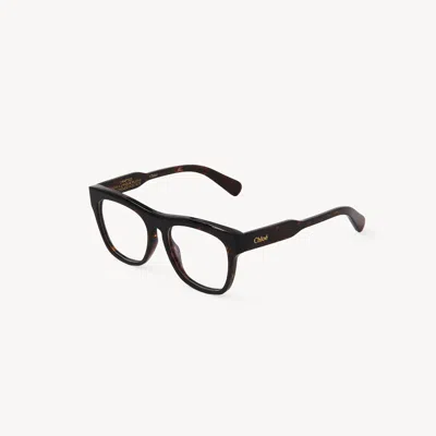 Chloé Gayia Square Eyeglasses In Brown