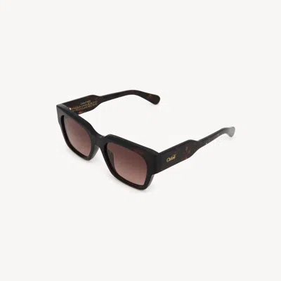 Chloé Gayia Sunglasses Brown Size Onesize 100% Acetate