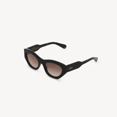 Chloé Gayia Sunglasses Brown Size Onesize Acetate In Black