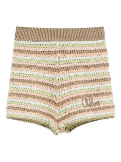 Chloé Crochet-knit Shorts In Brown