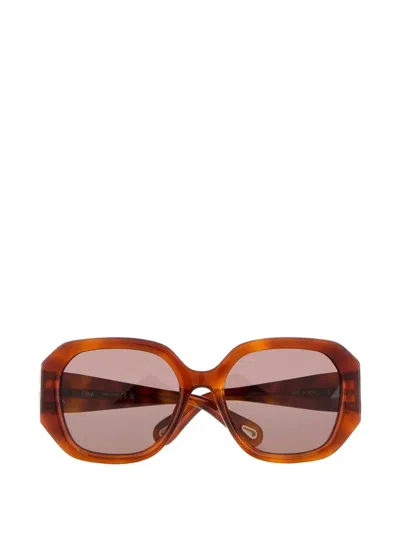 Chloé Geometric-frame Sunglasses In Brown