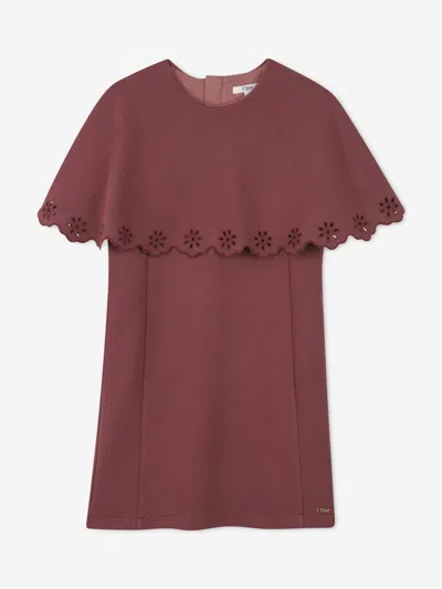 Chloé Babies'  Girls Embroidered Flower Milano Dress In Pink