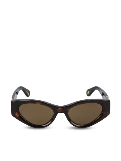 Chloé Glasses In Brown