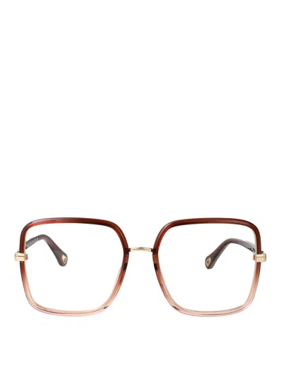 Chloé Glasses In Brown