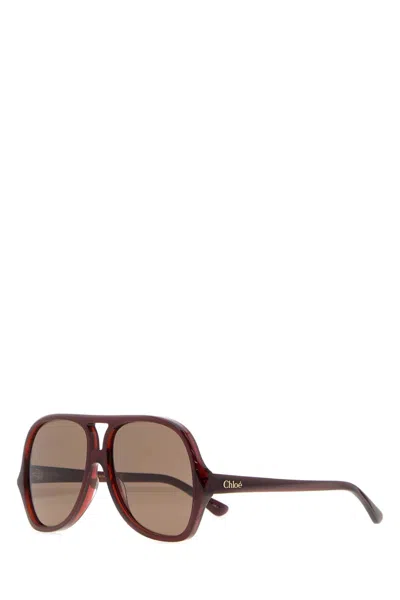 Chloé Brown Oversized Sunglasses