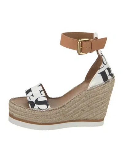 Pre-owned Chloé Glyn Canvas Espadrilles In Multi