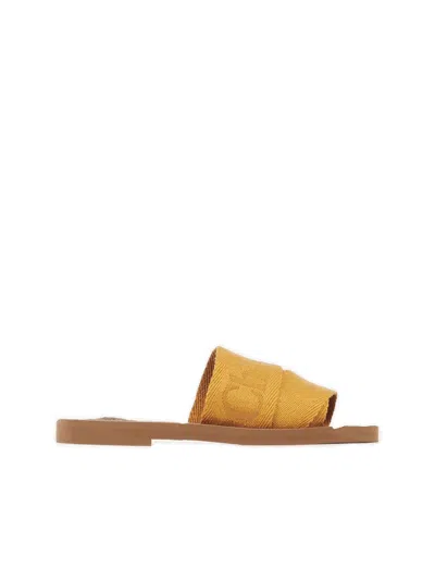 Chloé Gorgeous Goldenglow Linen Ballerina Shoes For Women In Beige