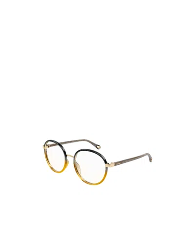 CHLOÉ CHLOÉ EYEWEAR ROUND FRAME GLASSES