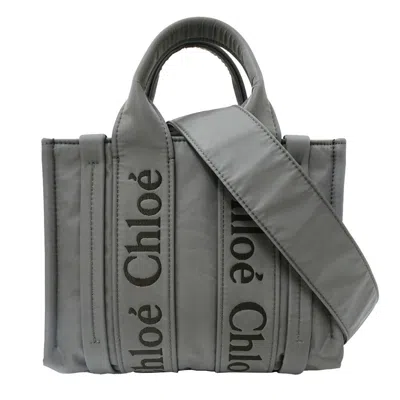 Pre-owned Chloé Gray Khaki Nylon Handbag Shoulder Bag () In Multi