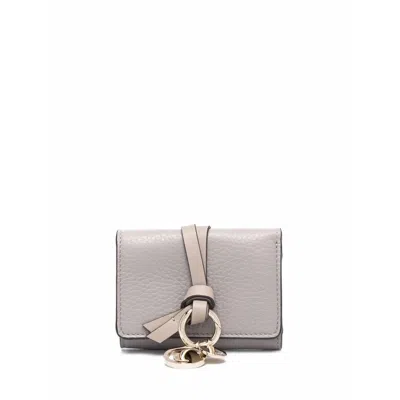 CHLOÉ GRAY WALLETS & PURES