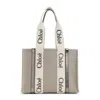 Chloé Chloe Woody Shoulder Bag Women In Gray