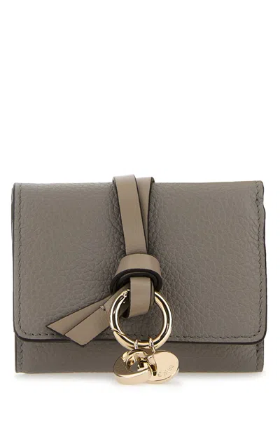 Chloé Grey Leather Wallet In 053