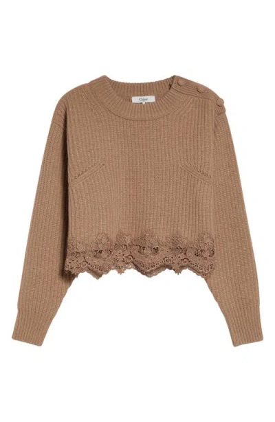 Chloé Cropped Turtleneck Sweater In Wool-cashmere Bleached Brown In Multi